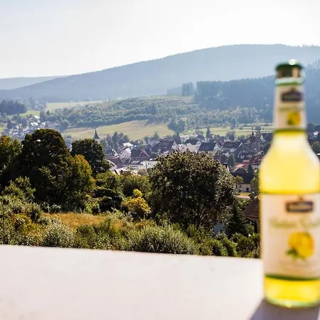 Auszeit Im Schwarzwald 伦茨基希