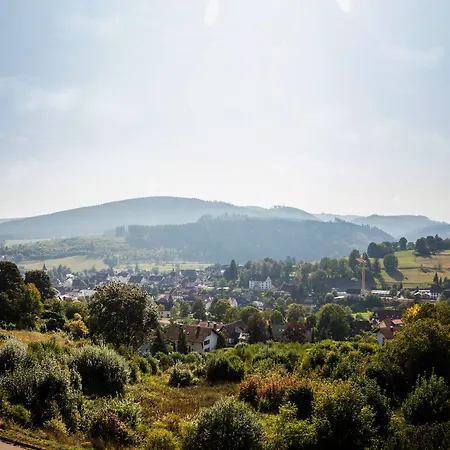Auszeit Im Schwarzwald Apartamento Lenzkirch